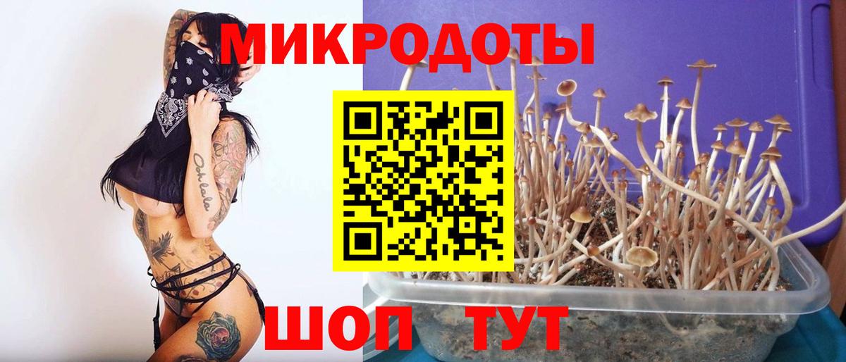 Алатырь  Галлюциногенные грибы Cubensis  Вход с VPN 