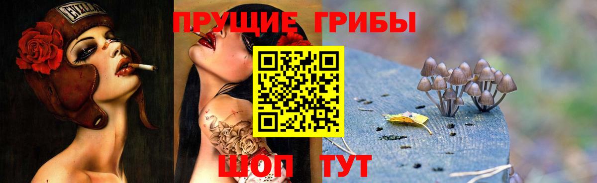 Галлюциногенные грибы Magic Shrooms Алатырь